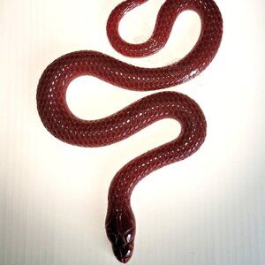 SNAKE winder RED Epoxy Resin Figurine Collectible Reptile Animal HANDMADE HOME